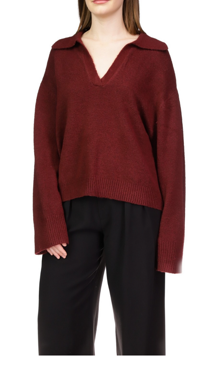 Sanctuary Johnny Collared Sweater